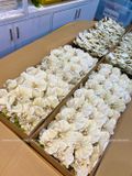Cành Lan Hồ Điệp vải 9 bông cánh xoăn 3D, hoa lụa cao cấp - HOG0015