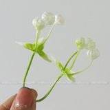 Hoa điểm dùng trang trí hoa sáp (0.5kg) - HOG0019