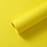 Giấy mỹ thuật dày gói hoa tươi, hoa sáp (tập 10 tờ) - GIA0125
