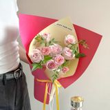 Giấy mỹ thuật dày gói hoa tươi, hoa sáp (tập 10 tờ) - GIA0125