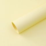 Giấy mỹ thuật dày gói hoa tươi, hoa sáp (tập 10 tờ) - GIA0125