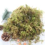 Rêu khô (100g) dùng để trang trí chậu hoa, tiểu cảnh và giữ ẩm dành cho hoa lan - PKK0116