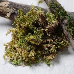 Rêu khô (100g) dùng để trang trí chậu hoa, tiểu cảnh và giữ ẩm dành cho hoa lan - PKK0116