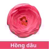SƠN XỊT MÀU CHO HOA TƯƠI - PKK0045