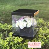 Hộp trụ mika vuông cắm hoa tươi, hoa sáp, hộp mika cắm hoa - THH0067