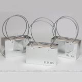 Túi giấy hình chữ nhật ngang màu Bạc (1 chiếc) - THH0092