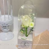 Hộp Mika mini cắm 1 bông hoa tươi, hoa sáp - THH0104