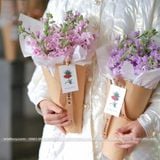 Bìa cứng làm hộp hoa ốc quế  (1 xấp 10 tờ) - THH0110