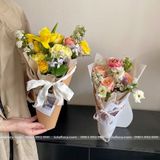 Bìa cứng làm hộp hoa ốc quế  (1 xấp 10 tờ) - THH0110