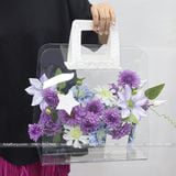 Túi xách trong suốt quai nhũ sang chảnh -  THH0123