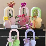 Túi bông hoa chuyên dùng cắm hoa tươi, hoa sáp - THH0126