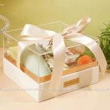Hộp vuông nắp nhựa size 20cm - THH0143