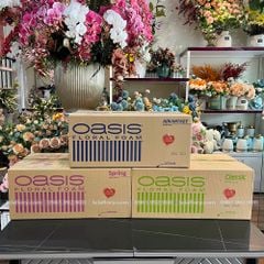 Thùng xốp Oasis cắm hoa tươi 20 viên Loại 1, loại 2, loại 3 chính hãng