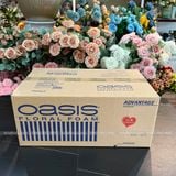 Thùng xốp Oasis cắm hoa tươi 20 viên Loại 1, loại 2, loại 3 chính hãng