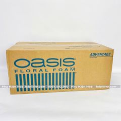 Xốp Oasis Advantage Trung Quốc (thùng 20 viên) - XOP0004