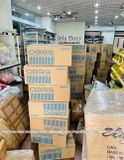 Xốp Oasis Advantage Trung Quốc (thùng 20 viên) - XOP0004