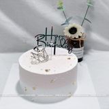 Set 10 chiếc Chữ mika Happy Birthday - TOP0033