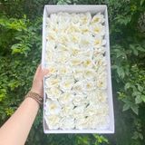 Hoa Thủy Tiên sáp (hộp 50 bông) ảnh shop tự chụp - HHS0007