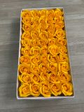 HOA SÁP THƯỜNG 3 LỚP (1 hộp 50 bông) - HHS0002