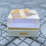 Hộp vuông nắp nhựa size 20cm - THH0143