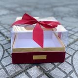 Hộp vuông nắp nhựa size 20cm - THH0143