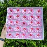 Hoa sáp lan hồ điệp (Hộp 25 bông) ảnh shop tự chụp - HHS0009