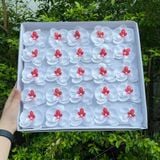 Hoa sáp lan hồ điệp (Hộp 25 bông) ảnh shop tự chụp - HHS0009