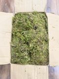 Rêu khô (100g) dùng để trang trí chậu hoa, tiểu cảnh và giữ ẩm dành cho hoa lan - PKK0116