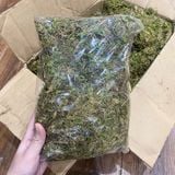 Rêu khô (100g) dùng để trang trí chậu hoa, tiểu cảnh và giữ ẩm dành cho hoa lan - PKK0116