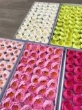 Hoa sáp mao lương (hộp 50 bông) ảnh shop tự chụp - HHS0010