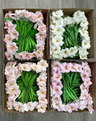 Hoa tulip Nở cao su non decor phòng chụp ảnh siêu đẹp (10 cành) - HOG0010