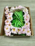 Hoa tulip Nở cao su non decor phòng chụp ảnh siêu đẹp (10 cành) - HOG0010