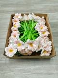 Hoa tulip Nở cao su non decor phòng chụp ảnh siêu đẹp (10 cành) - HOG0010