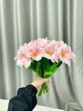 Hoa tulip Nở cao su non decor phòng chụp ảnh siêu đẹp (10 cành) - HOG0010