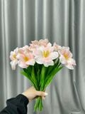 Hoa tulip Nở cao su non decor phòng chụp ảnh siêu đẹp (10 cành) - HOG0010