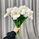 Hoa tulip Nở cao su non decor phòng chụp ảnh siêu đẹp (10 cành) - HOG0010