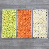 Hoa sáp Cúc Aster (hộp 50 bông) ảnh shop tự chụp - HHS0011