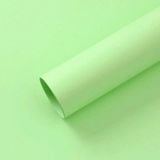 Giấy mỹ thuật dày gói hoa tươi, hoa sáp (tập 10 tờ) - GIA0125