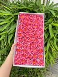 Hoa sáp Cúc Aster (hộp 50 bông) ảnh shop tự chụp - HHS0011
