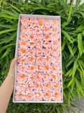 Hoa sáp Cúc Aster (hộp 50 bông) ảnh shop tự chụp - HHS0011