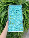 Hoa sáp Cúc Aster (hộp 50 bông) ảnh shop tự chụp - HHS0011
