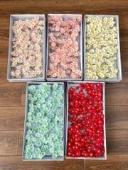 Hoa sáp Cúc Tana (hộp 50 chùm) ảnh shop tự chụp - HHS0013