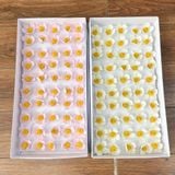 Hoa sáp Violet (hộp 50 bông) ảnh shop tự chụp - HHS0012