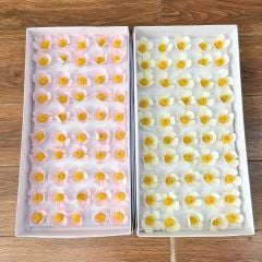 Hoa sáp Violet (hộp 50 bông) ảnh shop tự chụp - HHS0012