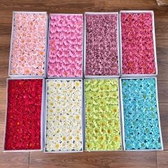 Hoa sáp Cúc Aster (hộp 50 bông) ảnh shop tự chụp - HHS0011