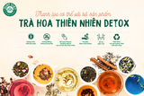  Trà Hoa Dưỡng Nhan Thảo Mộc Thiên Nhiên Detox Just Viet 