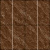 Gạch ốp lát men bóng vân đá AMP-61208