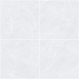 Gạch ốp lát men bóng vân đá AMP-66003