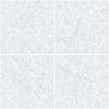 Gạch ốp lát men bóng vân đá AMP-66003