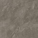 Gạch ốp lát men matt vân đá AMM-44006